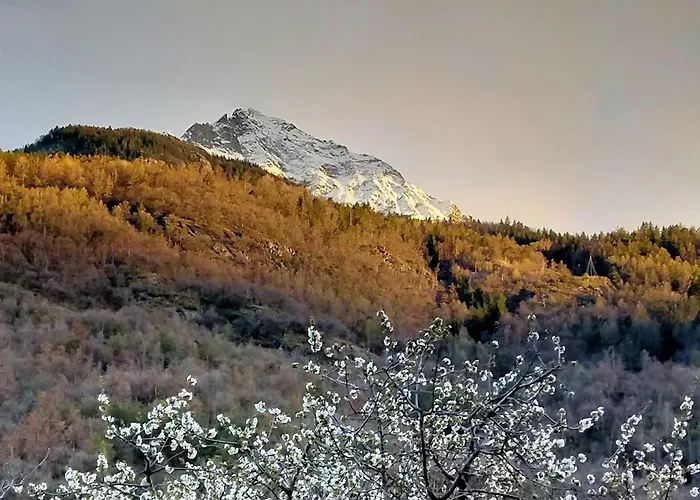 Lo Nou Nocleg ze śniadaniem *